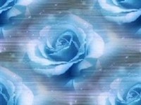 Joyce James on Sysoon