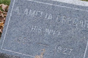 A. Amelia Cregar Bodine