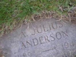 A Julius Anderson