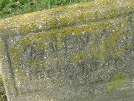 A. Levy A. Levy