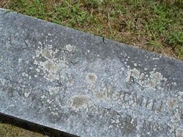 A. Samuel MacMillan A. Samuel MacMillan