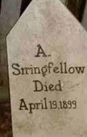 A Stringfellow (2028205.jpg)