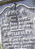 A Wellesley Core