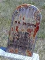 Aaprami Adolf "A. A." Luoma Aaprami Adolf "A. A." Luoma