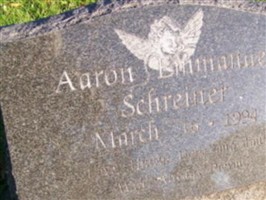 Aaron Emmanuel Schreiner