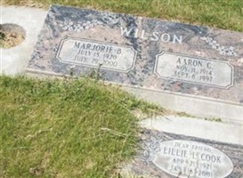 Aaron Gilbert Wilson Aaron Gilbert Wilson