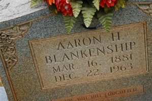 Aaron Harvey Blankenship Aaron Harvey Blankenship