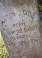 Aaron J. Cole