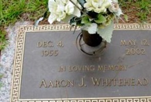 Aaron J. Whitehead