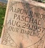 AaRON Junior Paschal