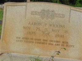 Aaron P Wilkins Aaron P Wilkins