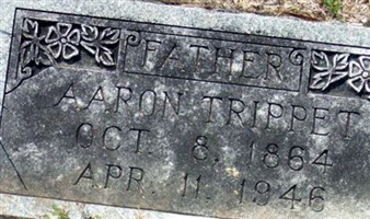 Aaron Trippet Aaron Trippet