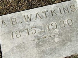 A B Watkins