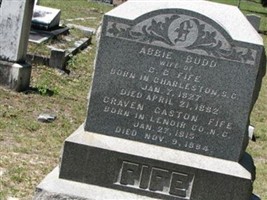 Abbie Budd Fife