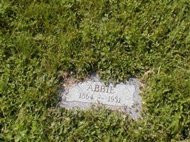 Abbie Clark