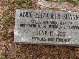 Abbie Elizabeth Shannon Abbie Elizabeth Shannon