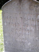 Abbie L. McLeod Abbie L. McLeod