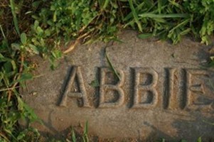 Abbie L Spiller