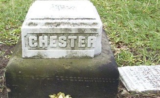 Abby Chester