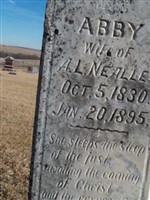 Abby Nealley