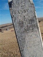 Abby Nealley