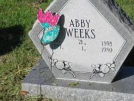 Abby Weeks Abby Weeks