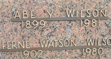 Abe Y Wilson
