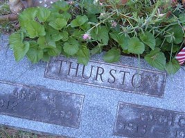 Abel M Thurston
