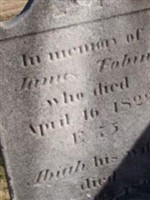 Abiah Adams Tobin Abiah Adams Tobin