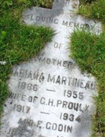 Abiana Martineau Proulx