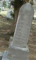Abigail Ball