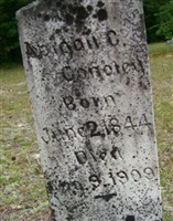Abigail C Conoley