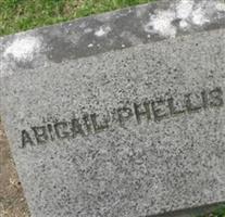 Abigail Fullington Phellis