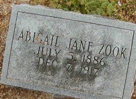 Abigail Jane Zook