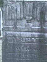 Abigail Judd Abigail Judd