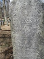 Abigail M. Miller