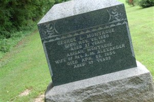 Abigail Montague Alexander Abigail Montague Alexander
