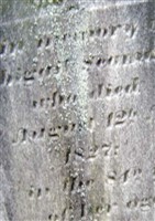 Abigail Seaman