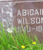 Abigail Wilson Abigail Wilson