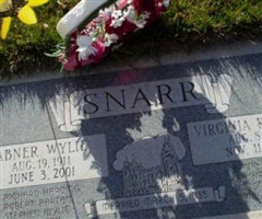 Abner Wylie Snarr