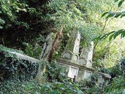 Abney Park Cemetery