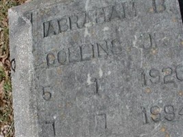 Abrahan B Collins, Jr