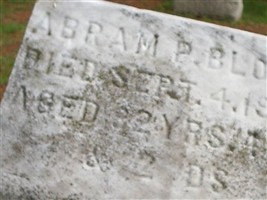 Abram P Bloom