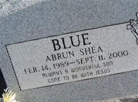 Abrun Shea Blue