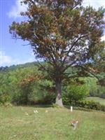 Absalom Dillingham - Black - Cemetery