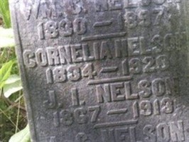 A. C. Nelson A. C. Nelson