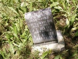 A. C. Nelson A. C. Nelson
