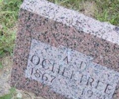 A D Ocheltree