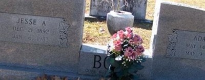 Ada B. Bone