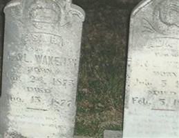 Ada S. Wakeman Ada S. Wakeman